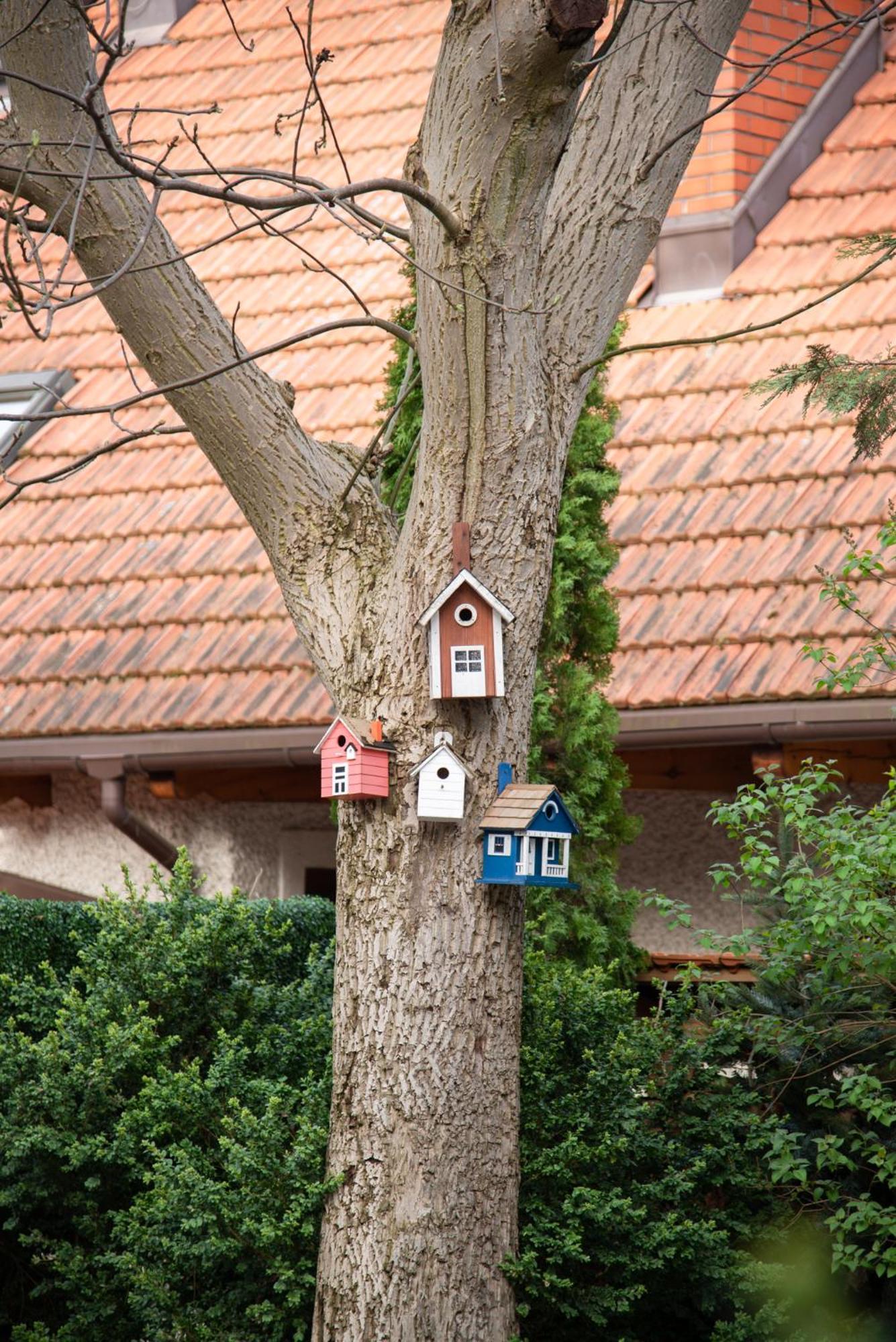 Villa Julius Sopot Zewnętrze zdjęcie